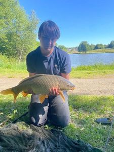 Common Carp