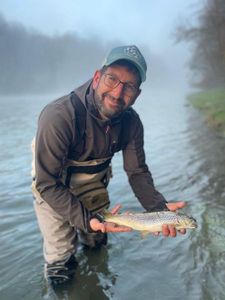 Brown Trout
