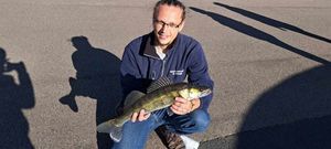 Zander
