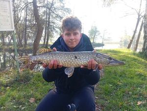 Northern Pike