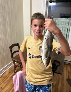 Striped Bass (Landlocked)