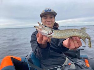 Northern Pike