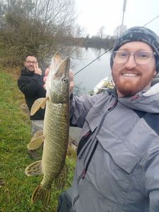 Northern Pike