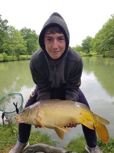 Mirror Carp