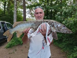 Northern Pike