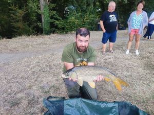 Common Carp