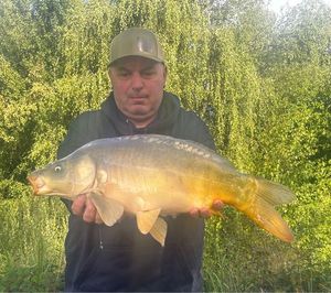 Mirror Carp