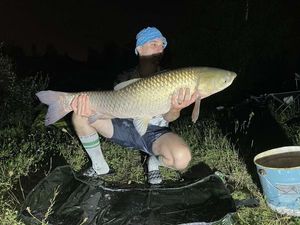 Grass Carp