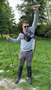Rainbow Trout