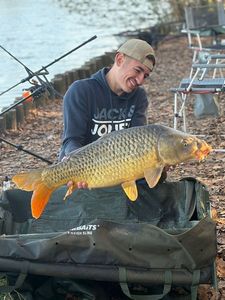 Common Carp