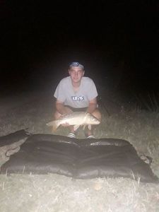Mirror Carp