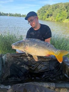 Mirror Carp