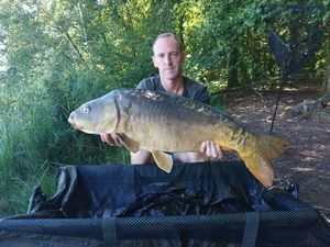 Mirror Carp