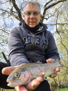 Rainbow Trout