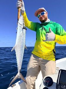 Narrowbarred Mackerel