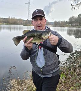 Smallmouth Bass