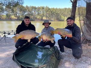 Leather Carp