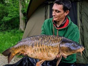 Mirror Carp