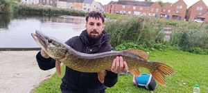 Northern Pike