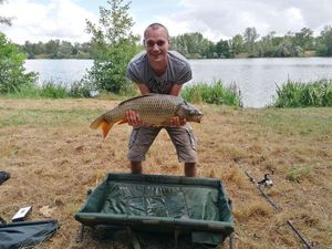 Common Carp