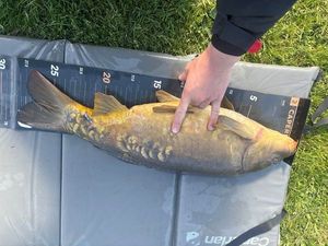 Leather Carp