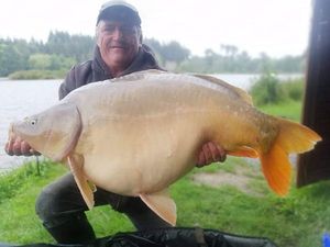 Mirror Carp
