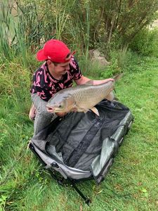 Grass Carp