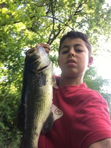 Smallmouth Bass