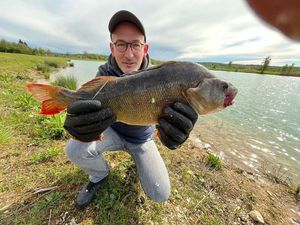 European Perch