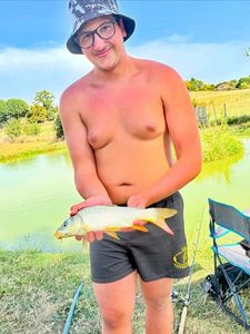 Common Carp