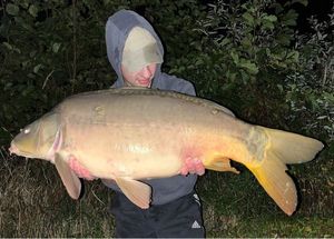 Mirror Carp