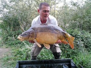 Mirror Carp