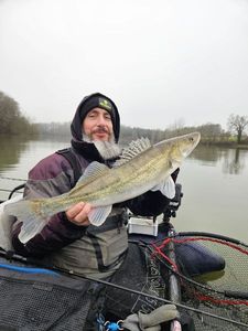 Zander