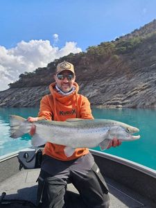 Lake Trout