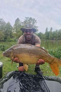 Mirror Carp