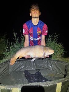 Mirror Carp