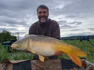 Mirror Carp