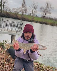 Northern Pike