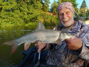Barbel