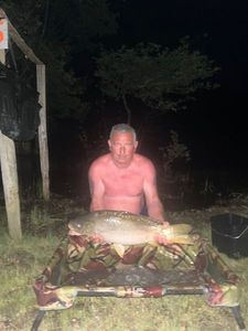 Mirror Carp