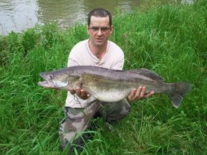 Zander