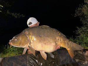 Mirror Carp