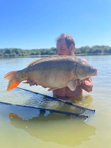 Mirror Carp