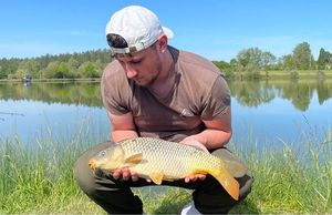 Common Carp