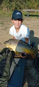 Mirror Carp