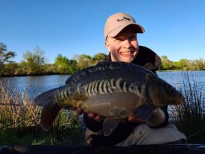 Mirror Carp
