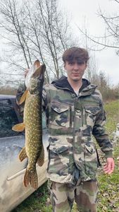 Northern Pike