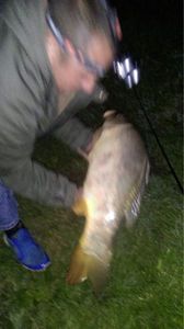 Mirror Carp