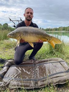 Mirror Carp