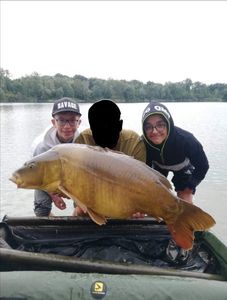 Common Carp
